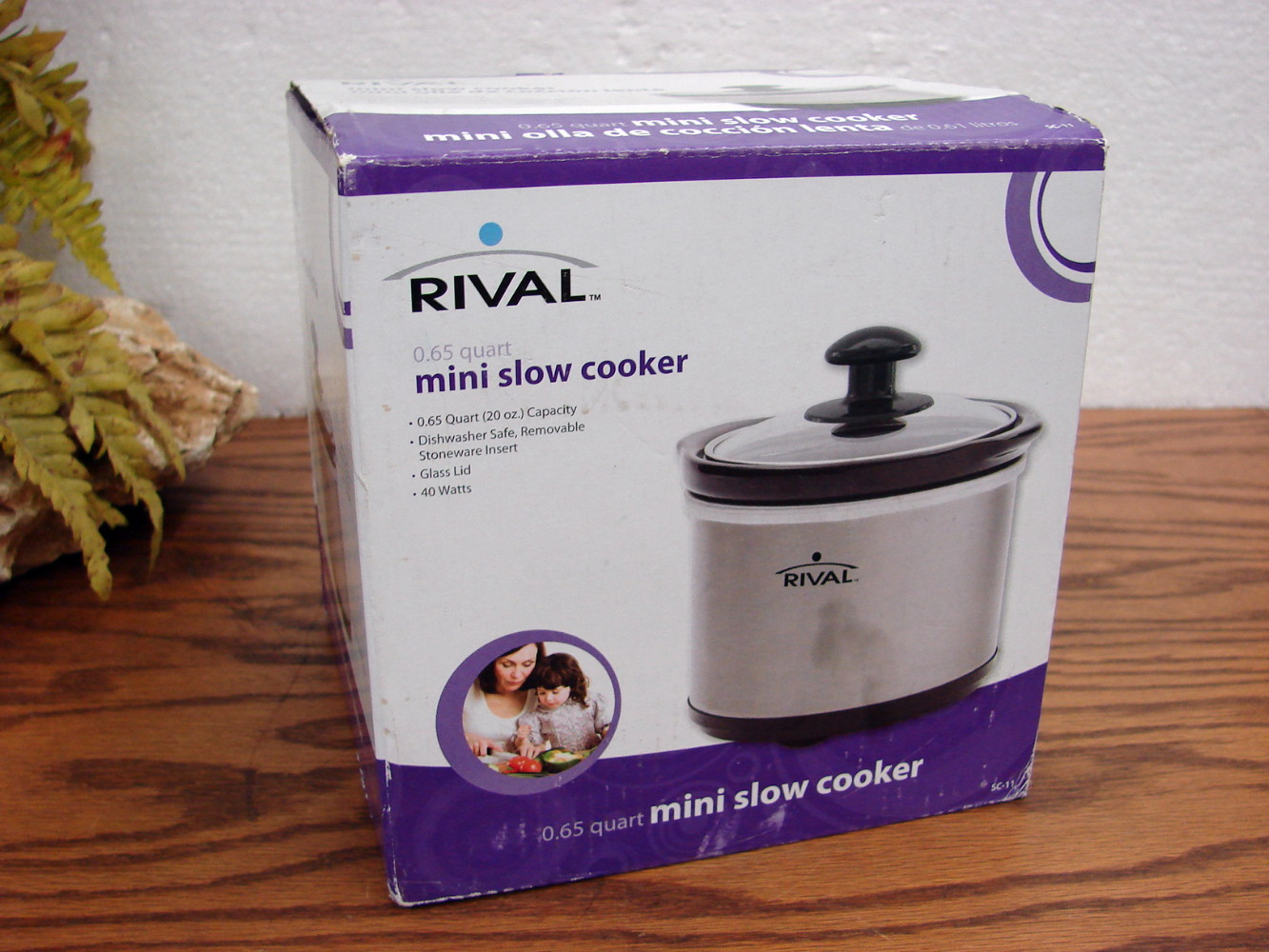 Brand New Rival Mini Slow Cooker 20 oz Glass Lid Removable Stoneware Crock