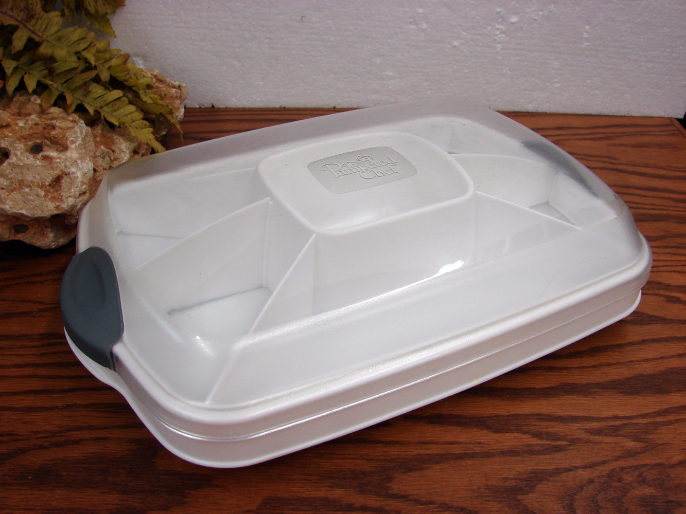 Retired Pampered Chef Chillzanne Rectangle Veggie Deviled Eggs Server Tray #2781 - Image 2