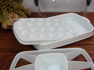 Retired Pampered Chef Chillzanne Rectangle Veggie Deviled Eggs Server Tray #2781