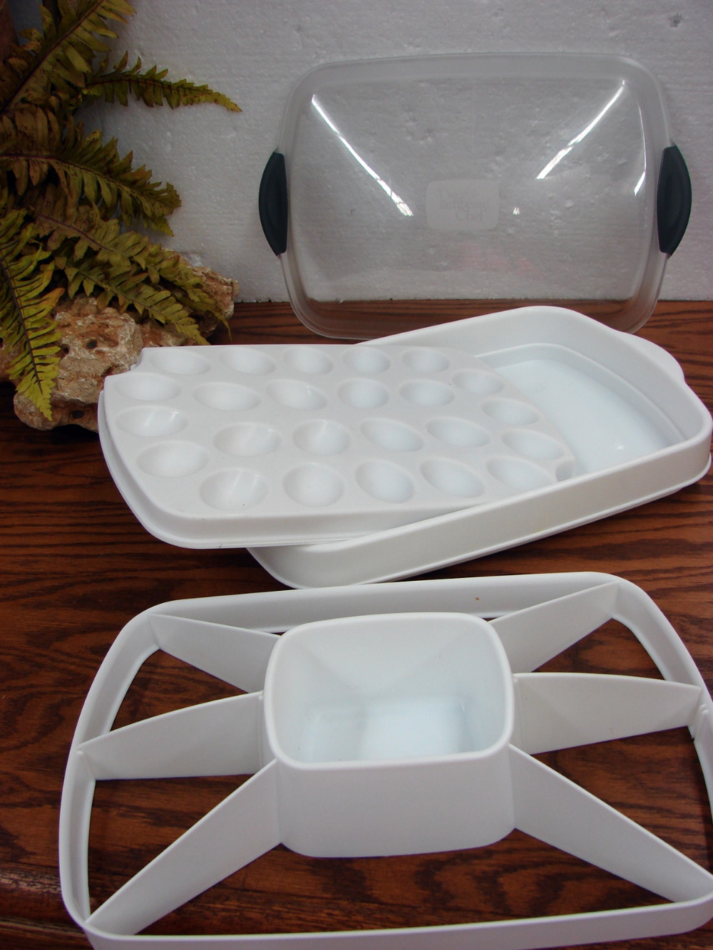 Retired Pampered Chef Chillzanne Rectangle Veggie Deviled Eggs Server Tray #2781