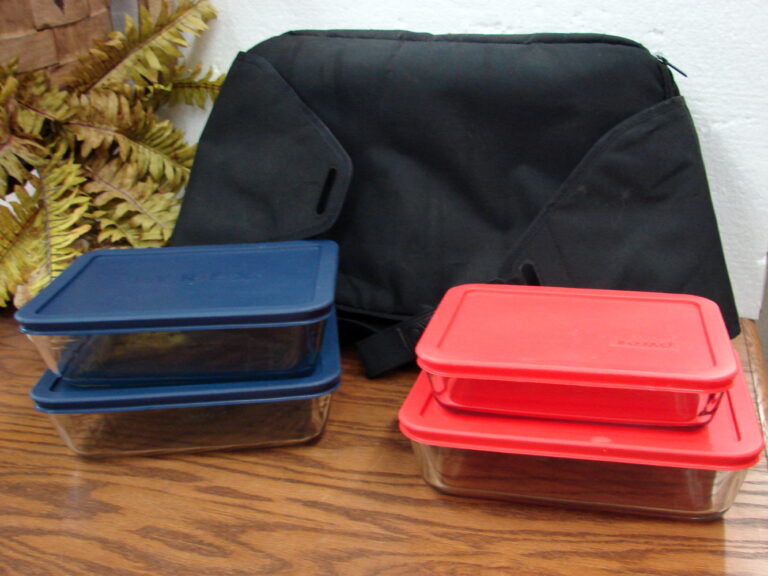 Newer Set/4 Pyrex Glass Storage Containers w/ Lids Insulated Carrying Bag Portables