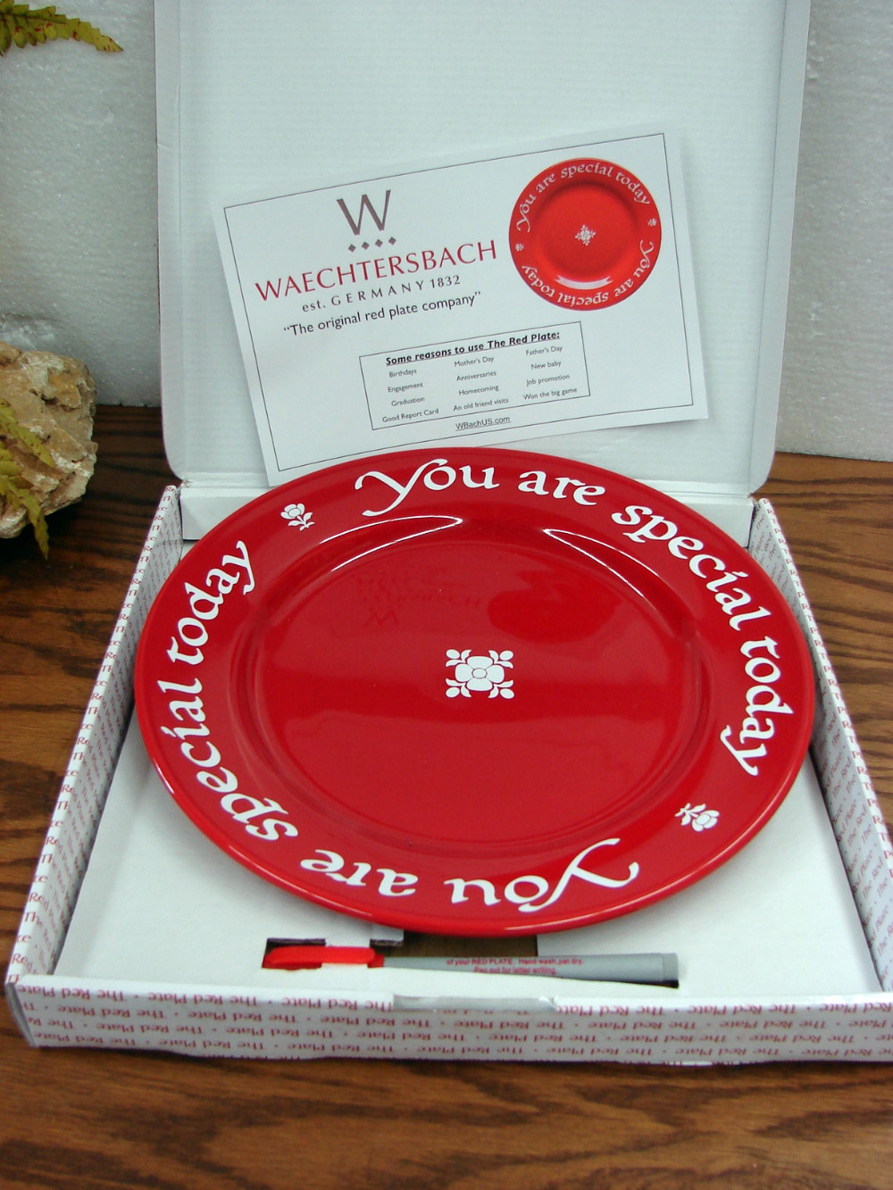 Brand New Waechtersbach You Are Special Today Plate Red w/ Box Marker - Image 2