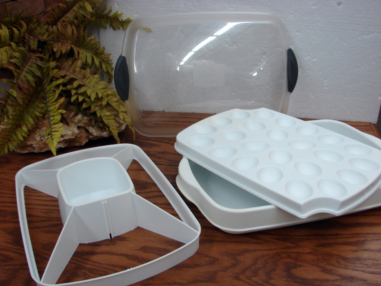 Retired Pampered Chef Chillzanne Rectangle Veggie Deviled Eggs Server Tray #2781