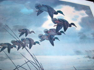 Vintage Print Les Kouba 304/1500 Mallards Returning Early Signed 25 x 20"