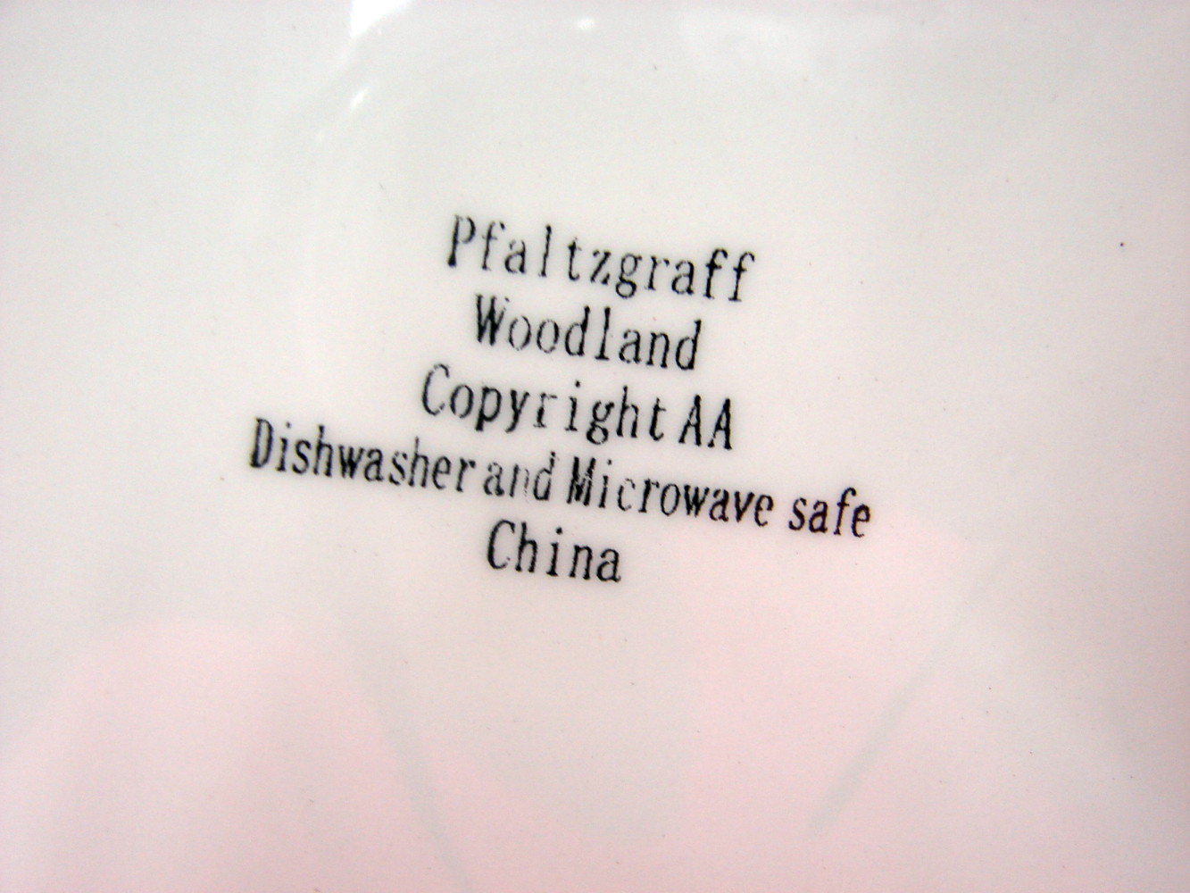 Brand New Pfaltzgraff Woodland Chickadee Oval Serving Platter 15 x 11" - Image 2