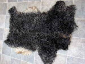Super Soft Curly Tanned Sheep Hide Crafts Mountain Man Outfit Grey White