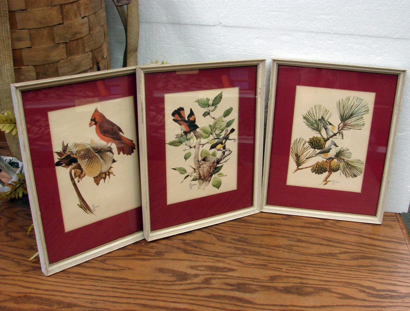 Set/3 Vintage Professional Framed Bird Prints Frances Lee Jaques 1950's Artwork w/ Frames