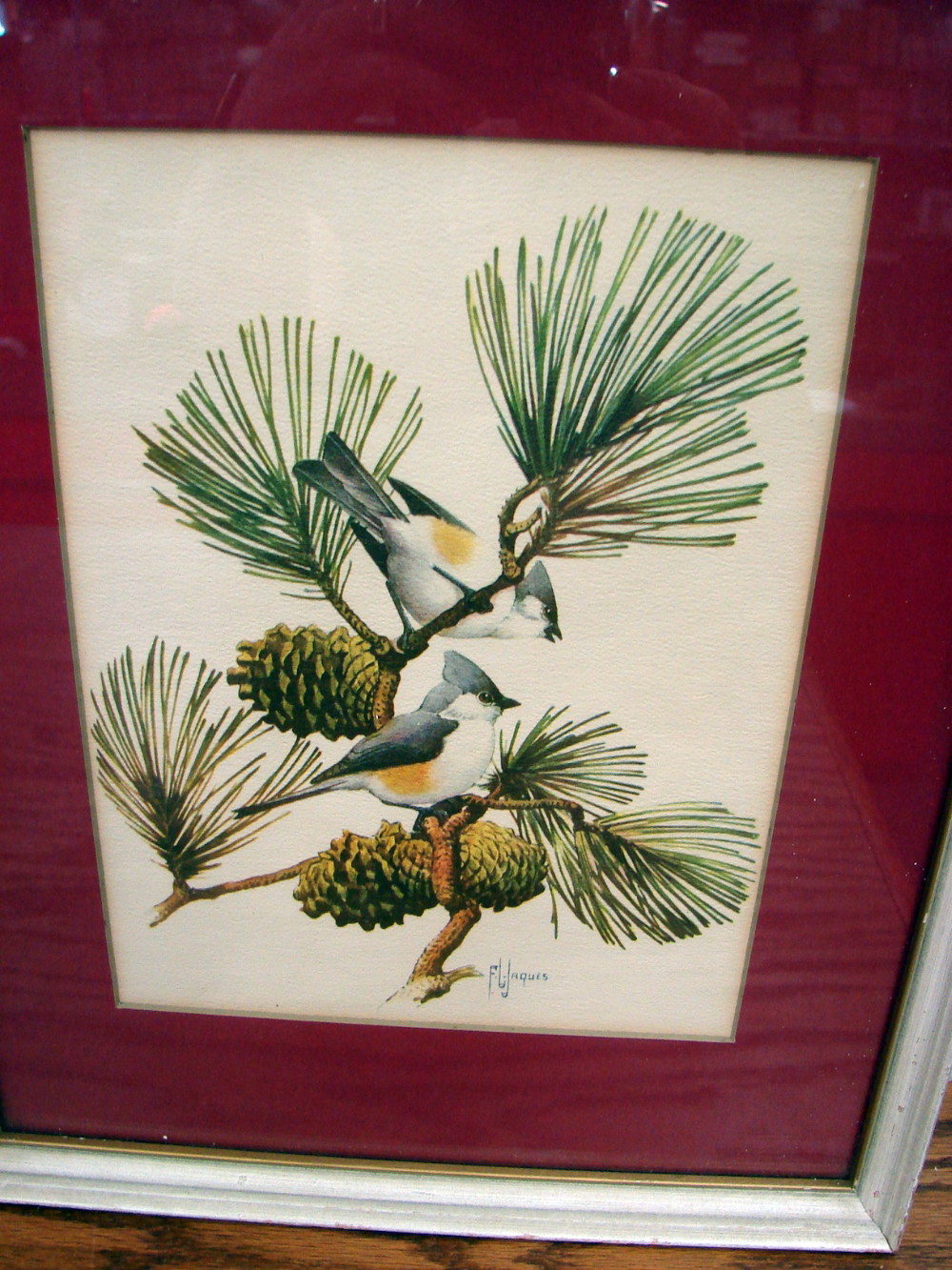 Set/3 Vintage Professional Framed Bird Prints Frances Lee Jaques 1950's Artwork w/ Frames - Image 3