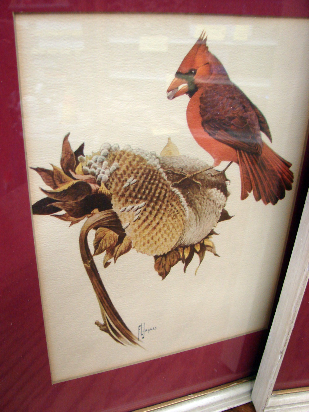 Set/3 Vintage Professional Framed Bird Prints Frances Lee Jaques 1950's Artwork w/ Frames - Image 4